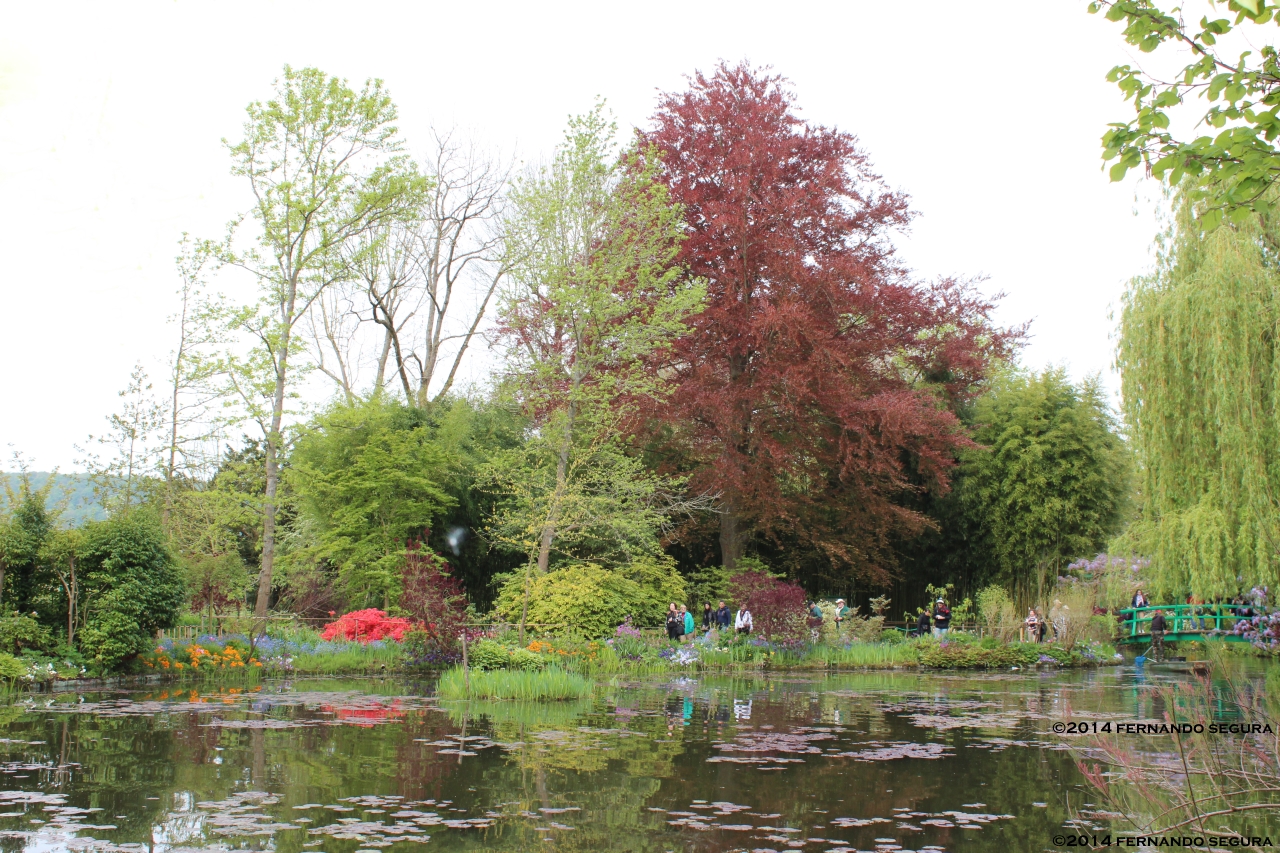 Fondation Claude Monet. Foto: Fernando Segura